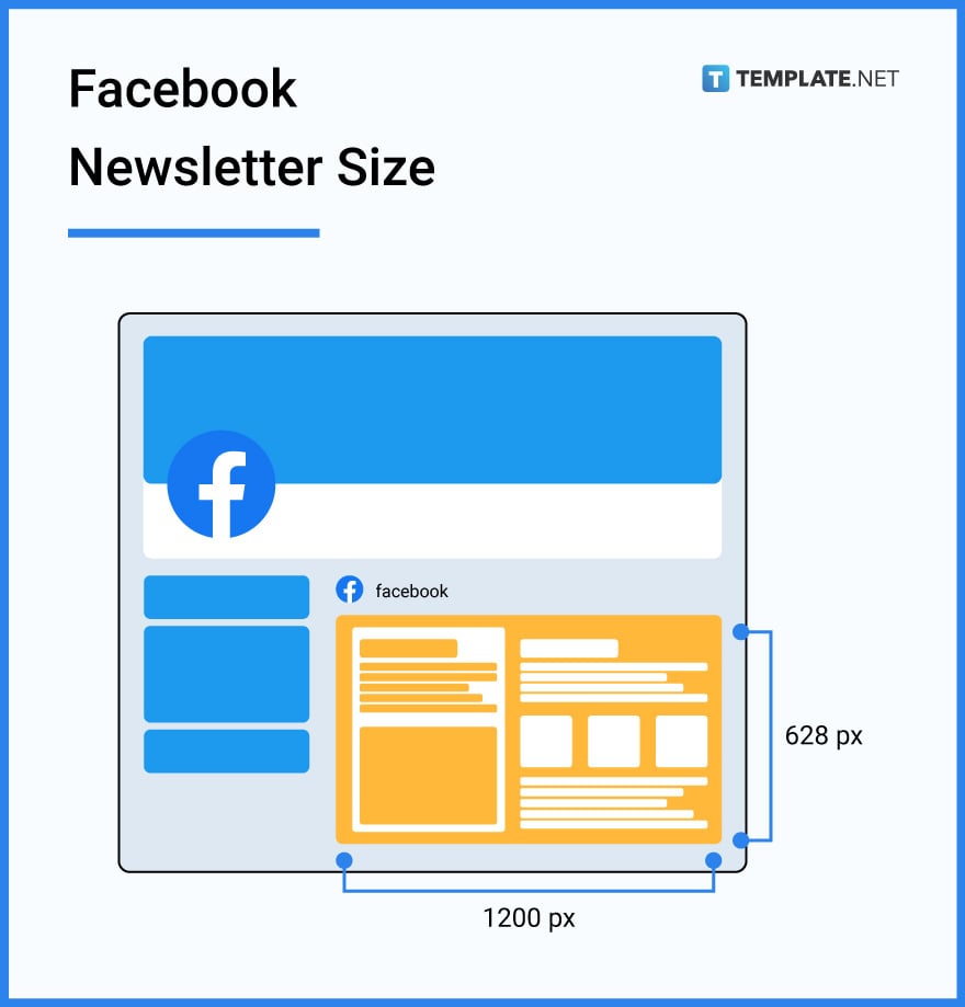 facebook newsletter size