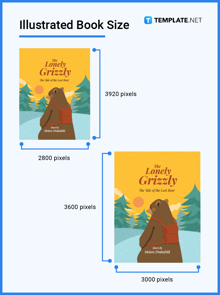 illustrated book size