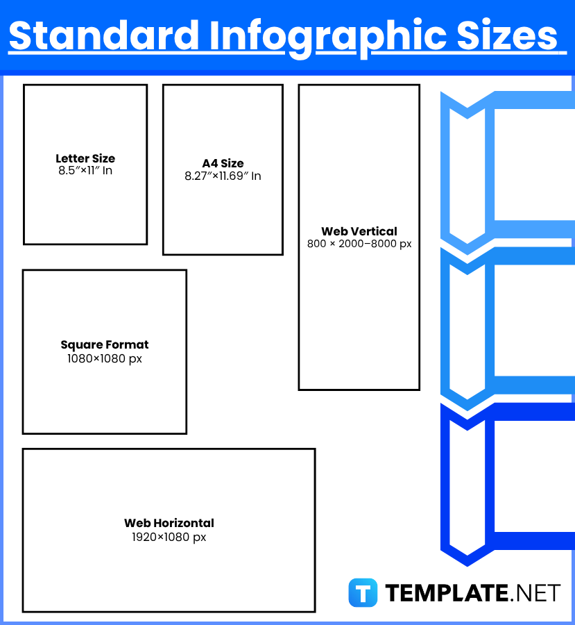 infographic sizes