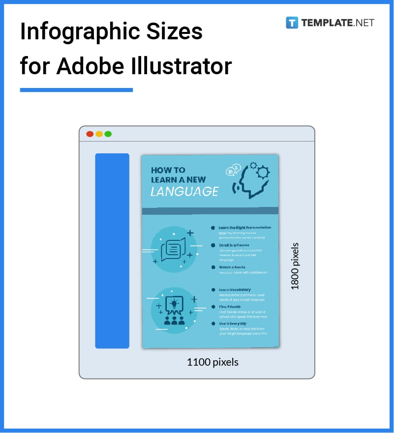 infographic sizes for adobe illustrator