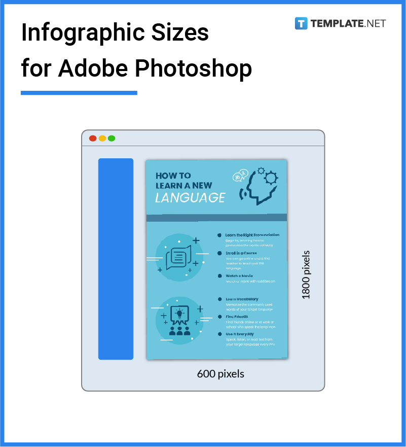 infographic sizes for adobe photoshop