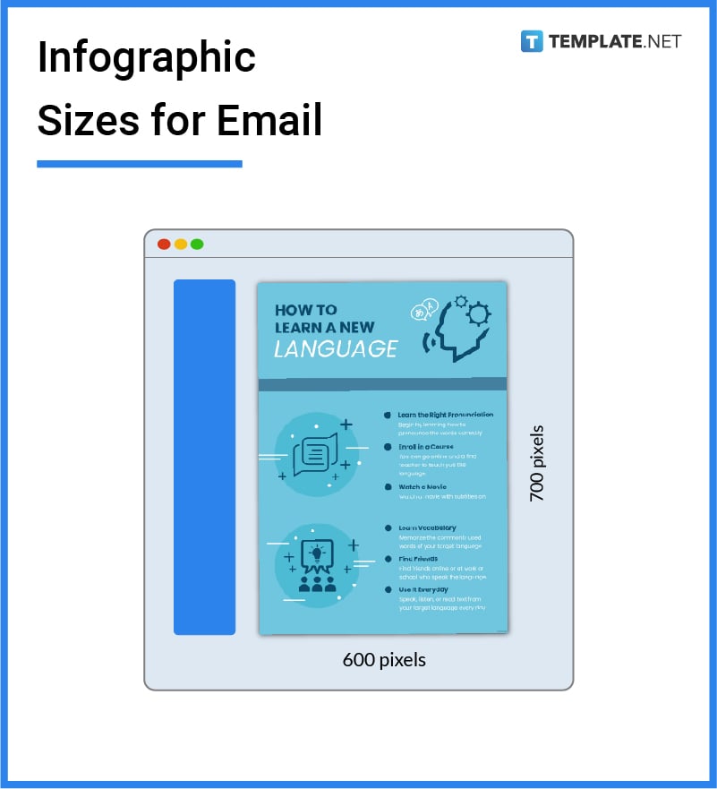 infographic sizes for email