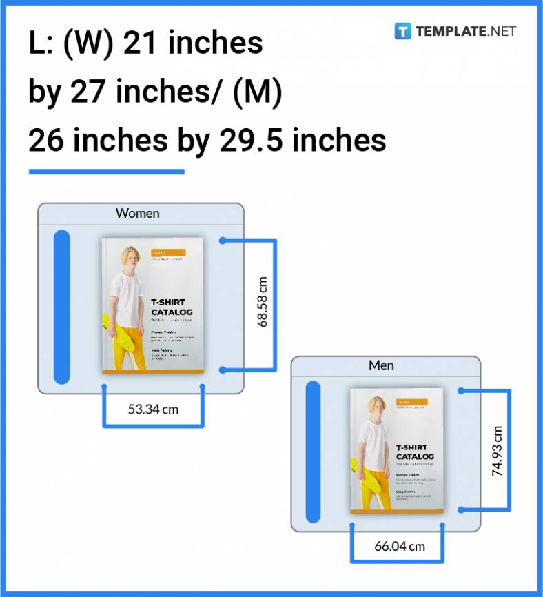 T Shirt Size Dimension Inches Mm Cms Pixel