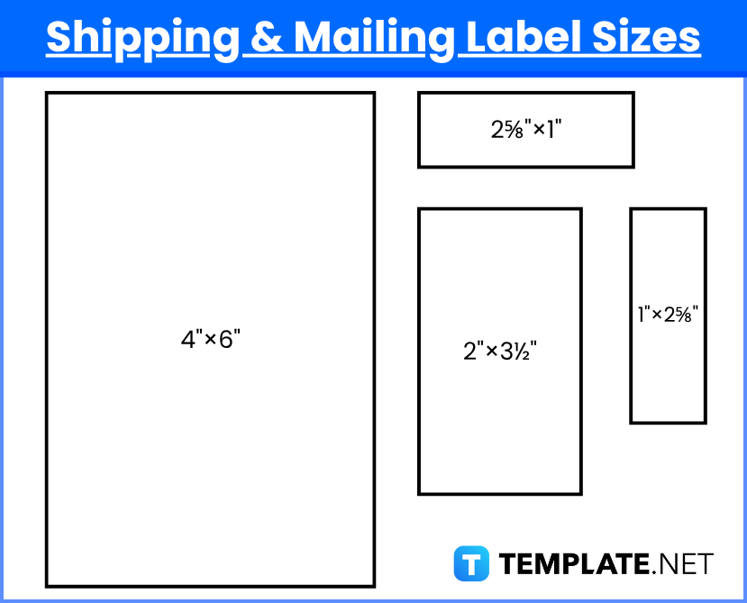 Label Sizes