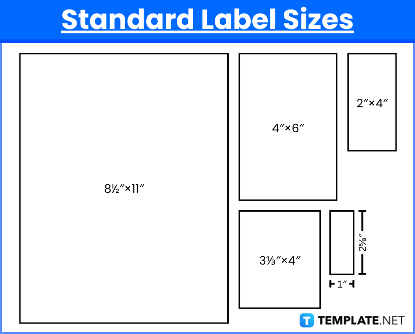Label Sizes