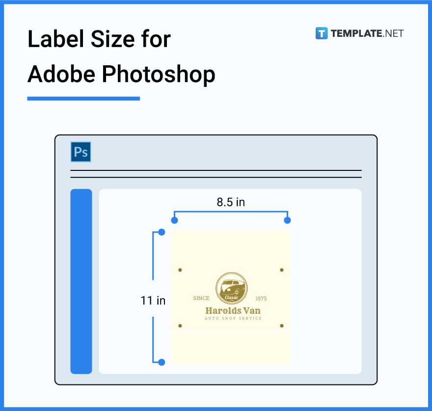 Label Size Dimension Inches Mm Cms Pixel