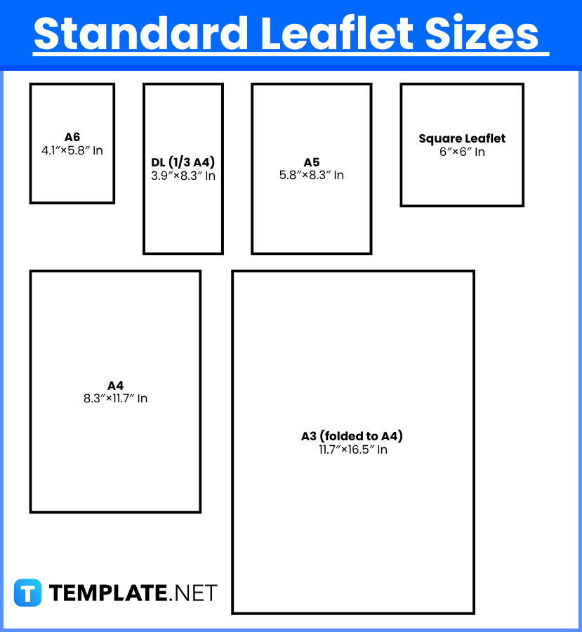 Leaflet Sizes 