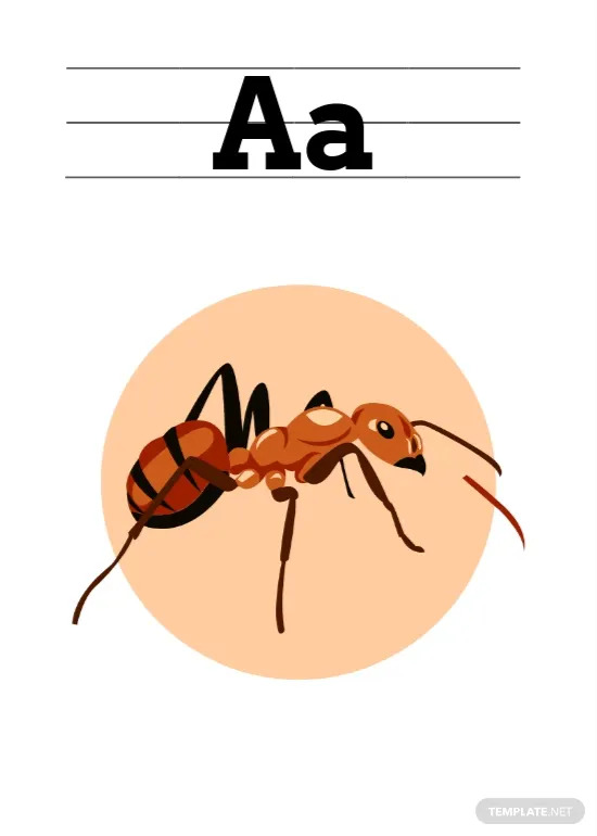 Flashcard What Is a Flashcard? Definition, Types, Uses