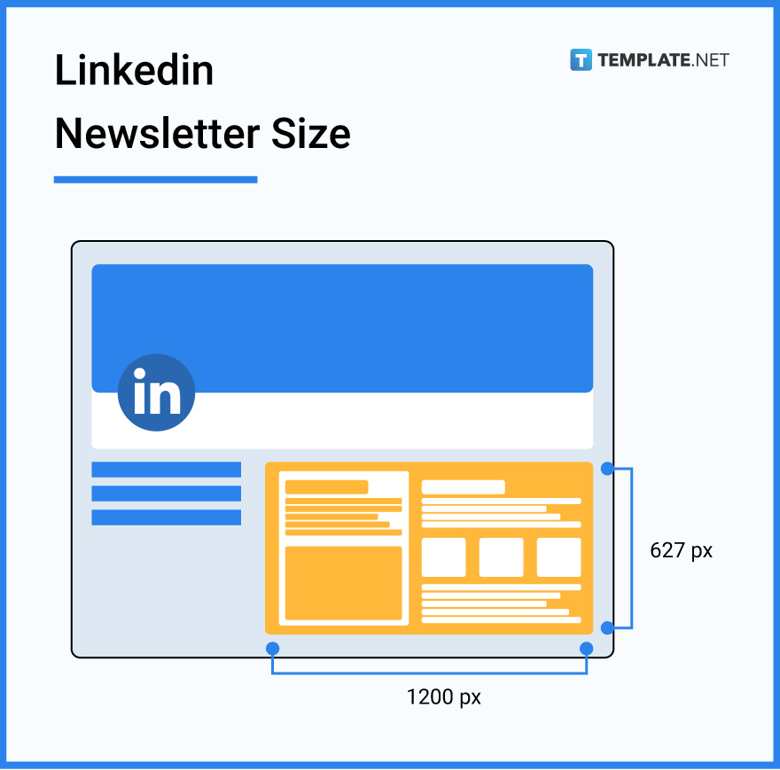 Newsletter Size - Dimension, Inches, mm, cms, Pixel