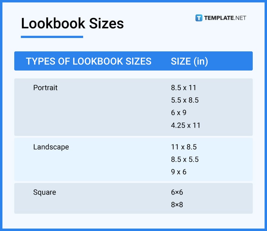 lookbook sizes