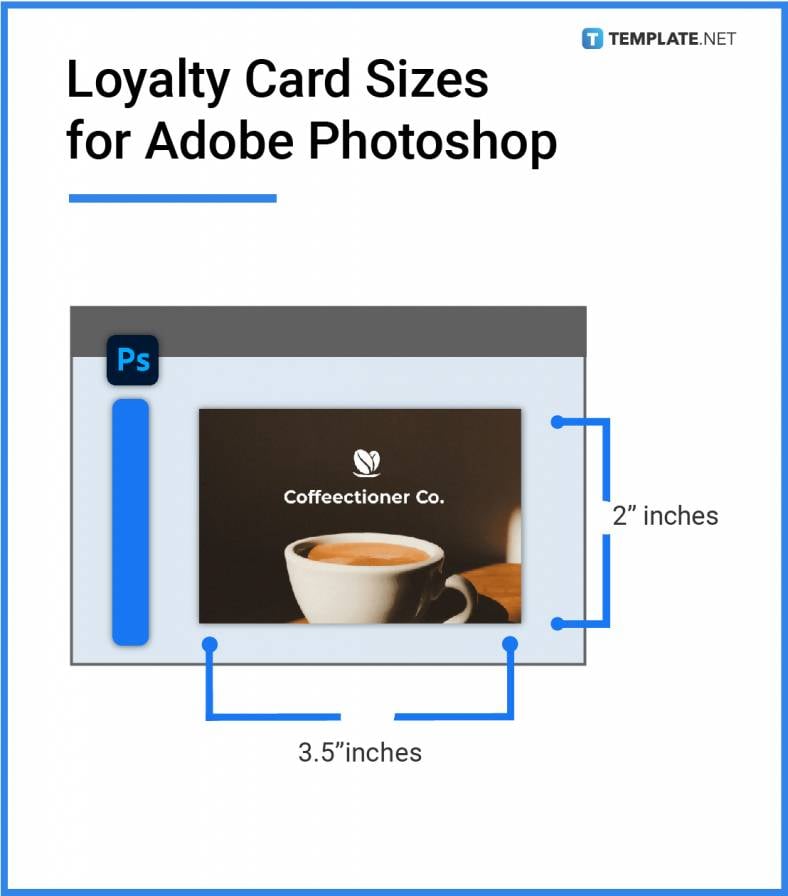 loyalty-card-sizes-for-adobe-photoshop-788x896