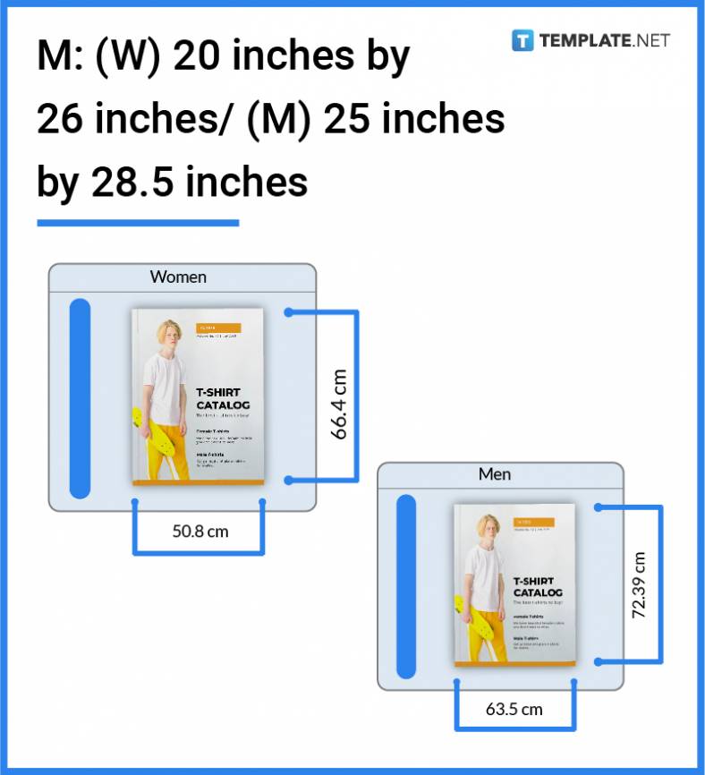 T shirt outlet dimensions