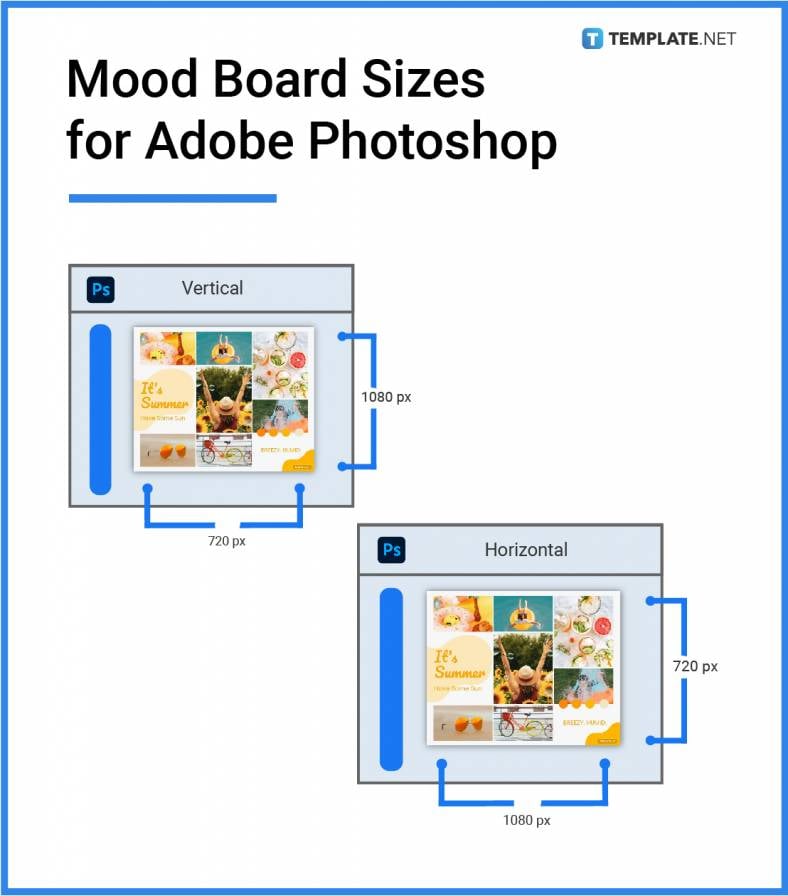 mood board sizes for adobe photoshop 788x