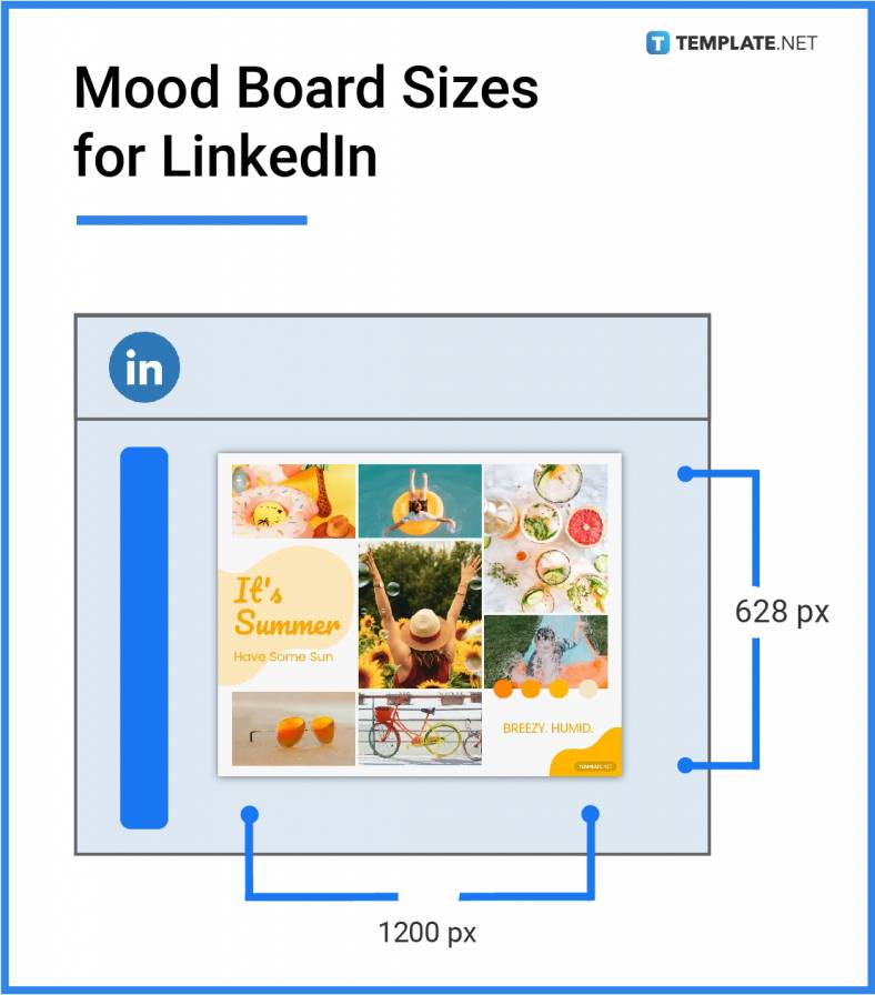 mood board sizes for linkedin 788x
