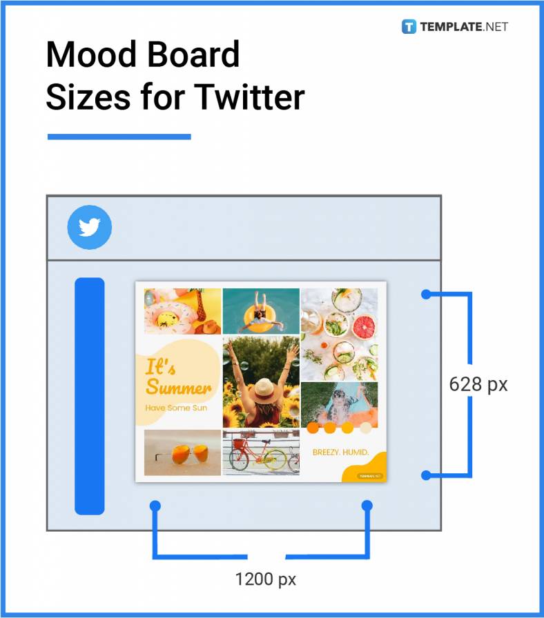 mood board sizes for twitter 788x