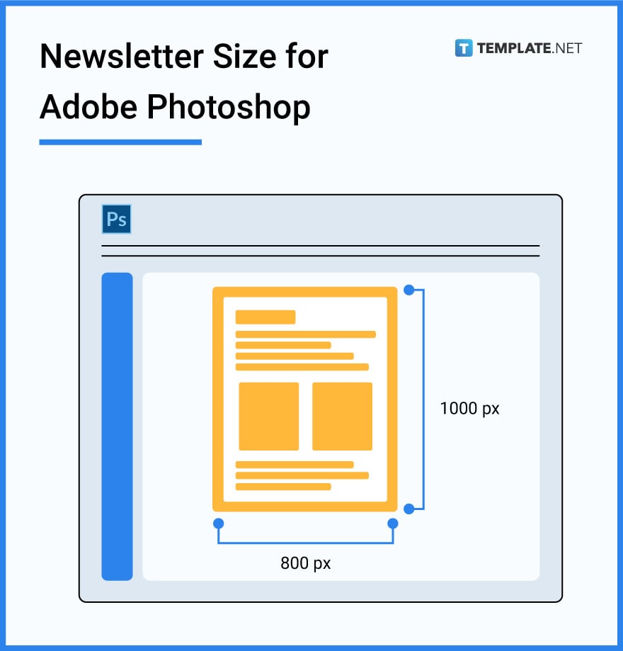 newsletter size for adobe photoshop