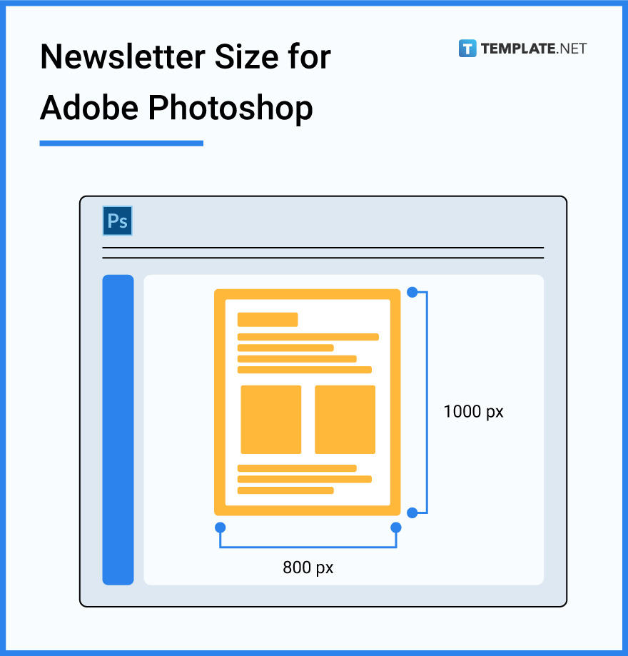 newsletter size for adobe photoshop