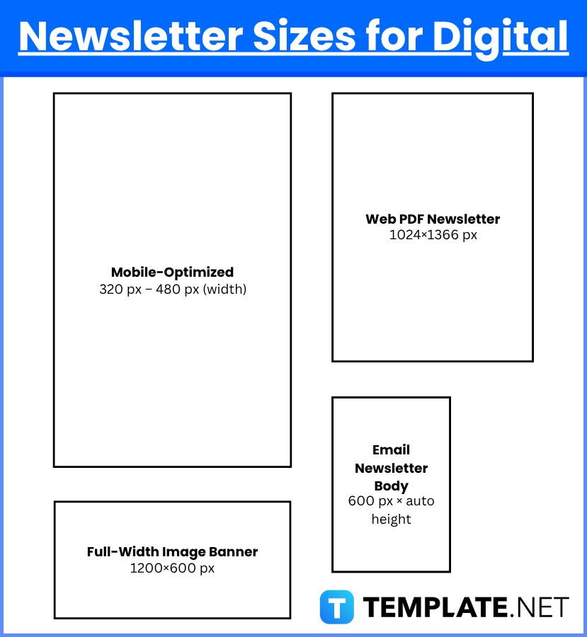 Newsletter Sizes