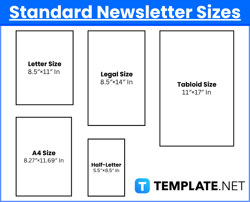 Newsletter Sizes