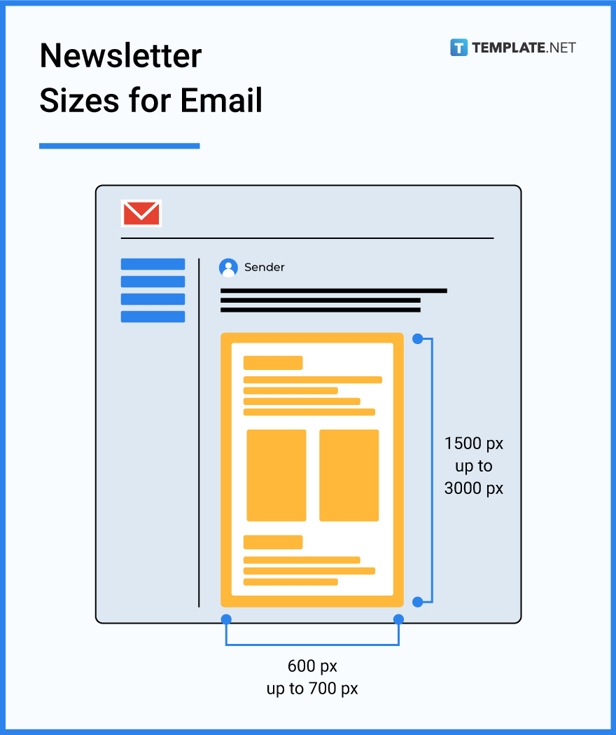 newsletter sizes for email