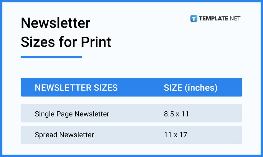 newsletter sizes for print