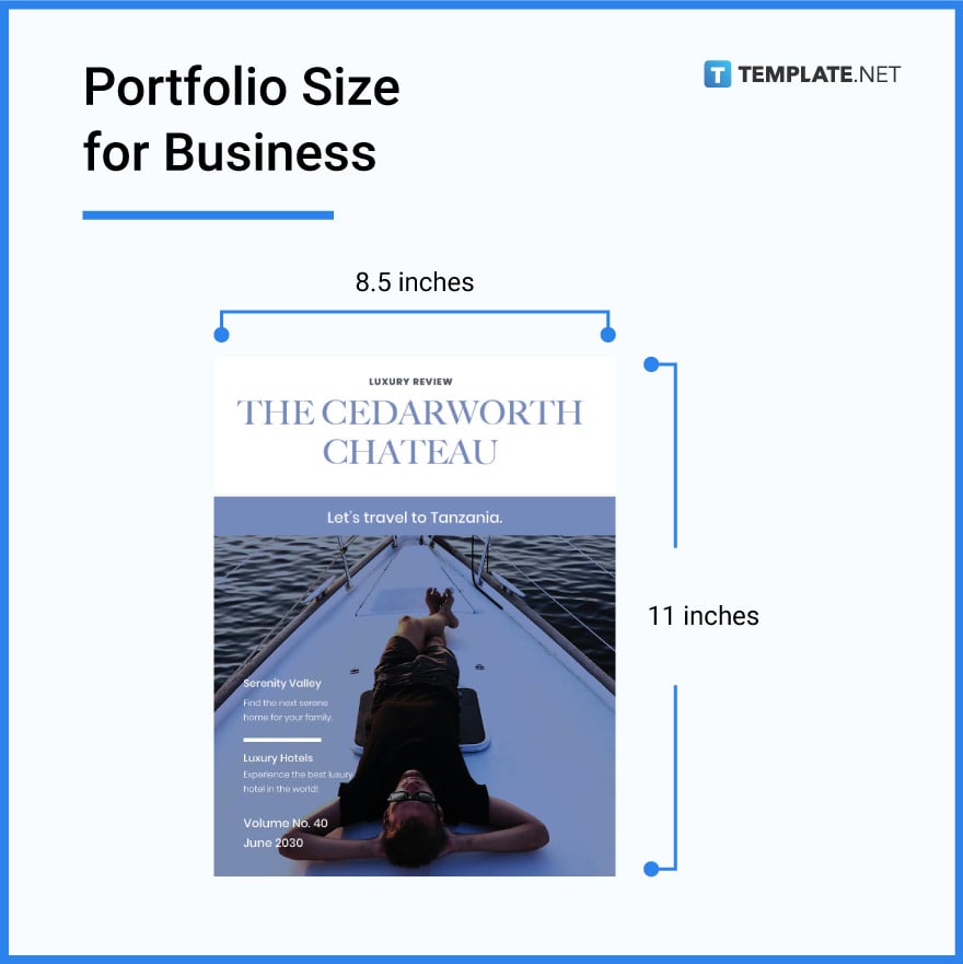 portfolio size for business