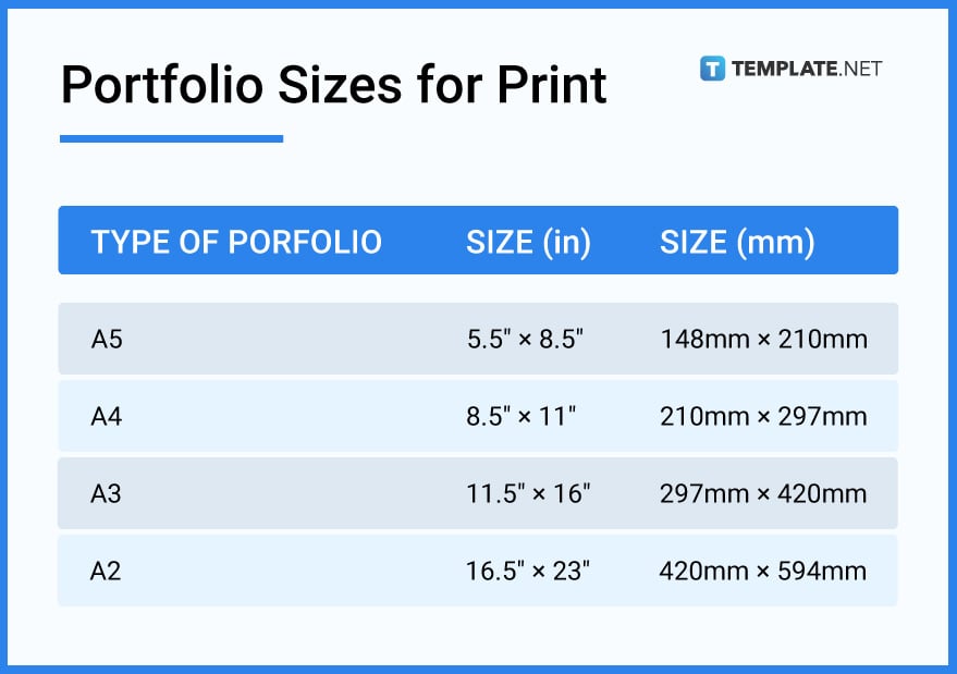 portfolio sizes for print