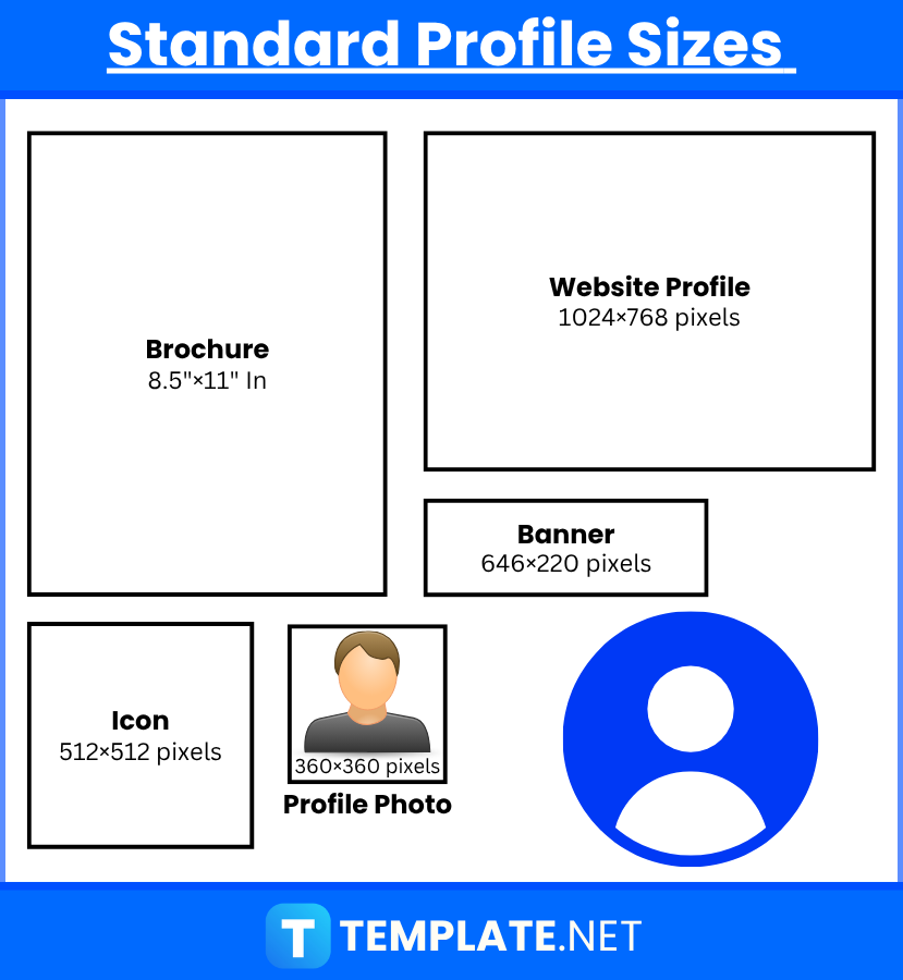 Profile Sizes 