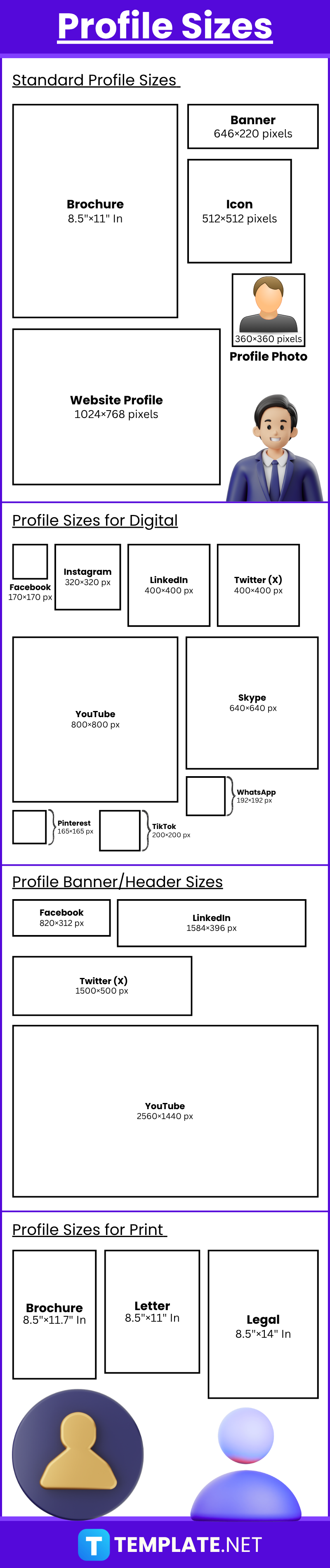 Profile Sizes