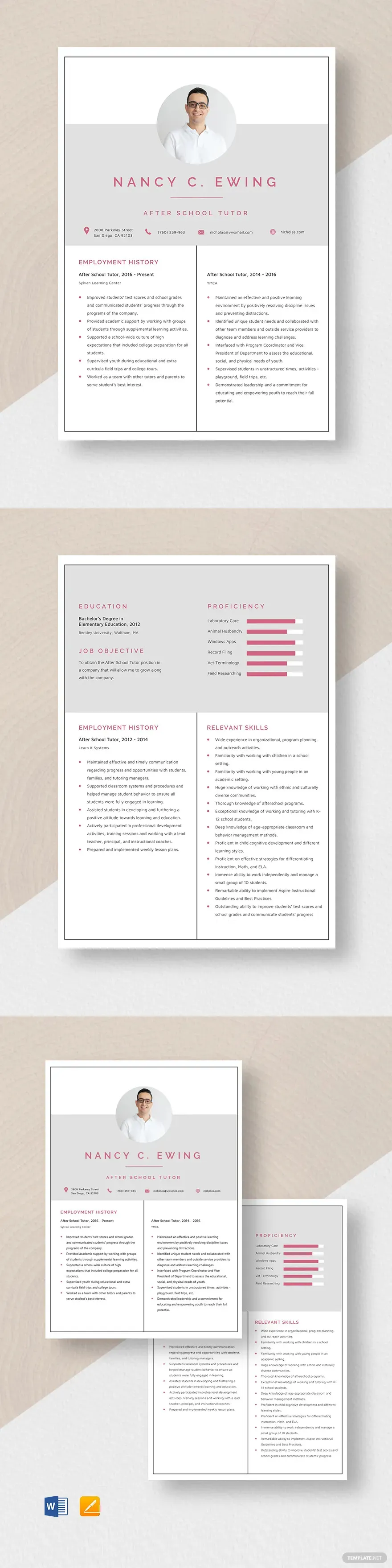 resume ideas examples for school