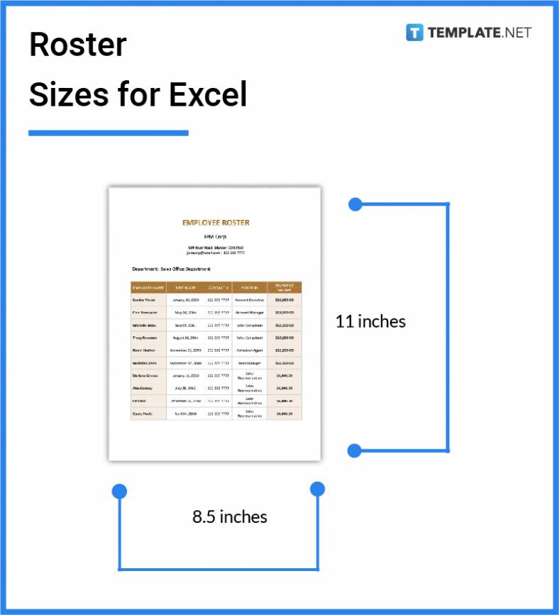 roster-sizes-for-excel-788x867