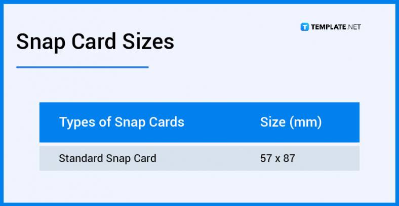 Snap Card - What Is a Snap Card? Definition, Types, Uses