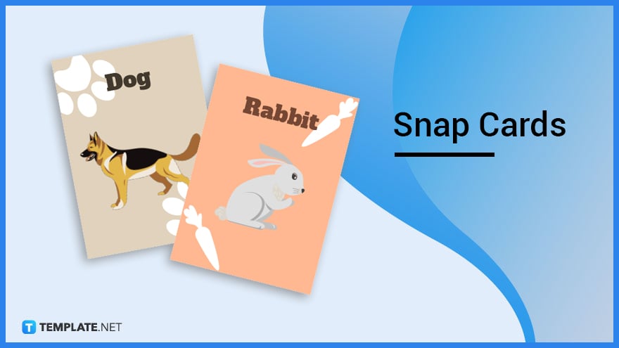 snap-cards
