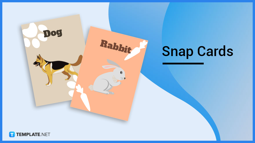 Order New Snap Card