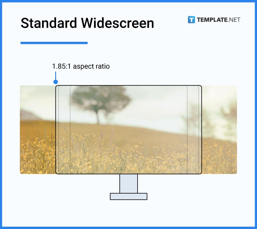standard widescreen