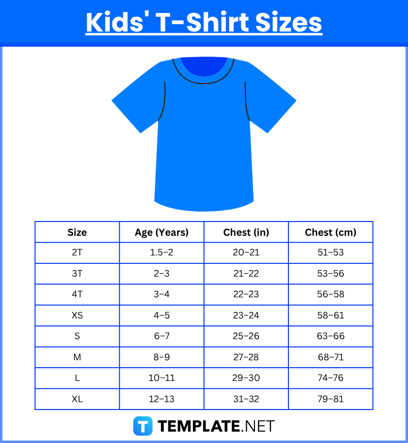 T-Shirt Sizes