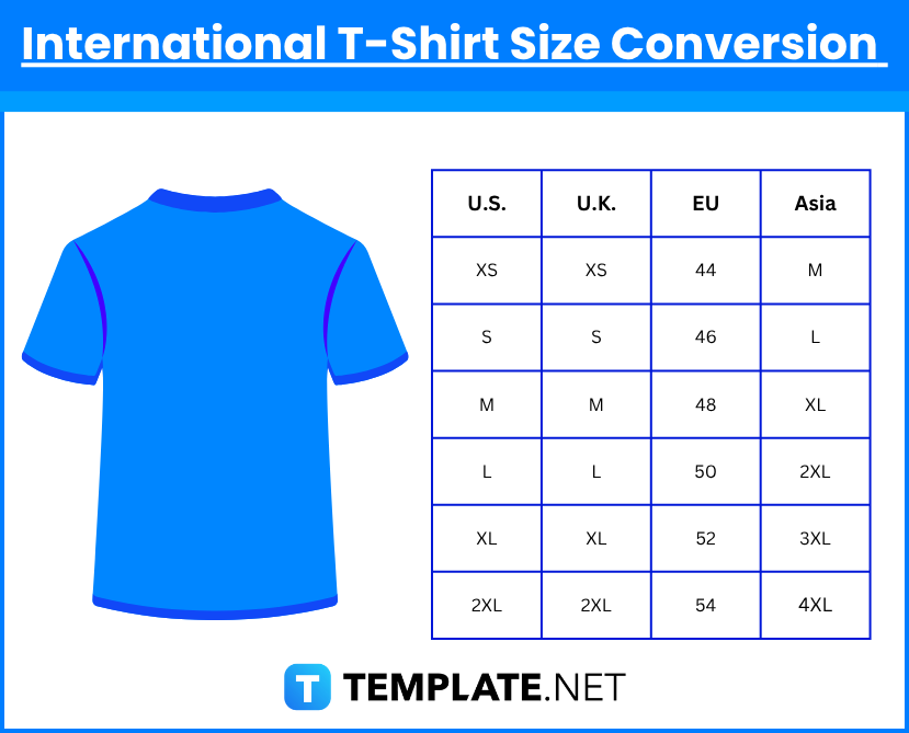 T-Shirt Sizes