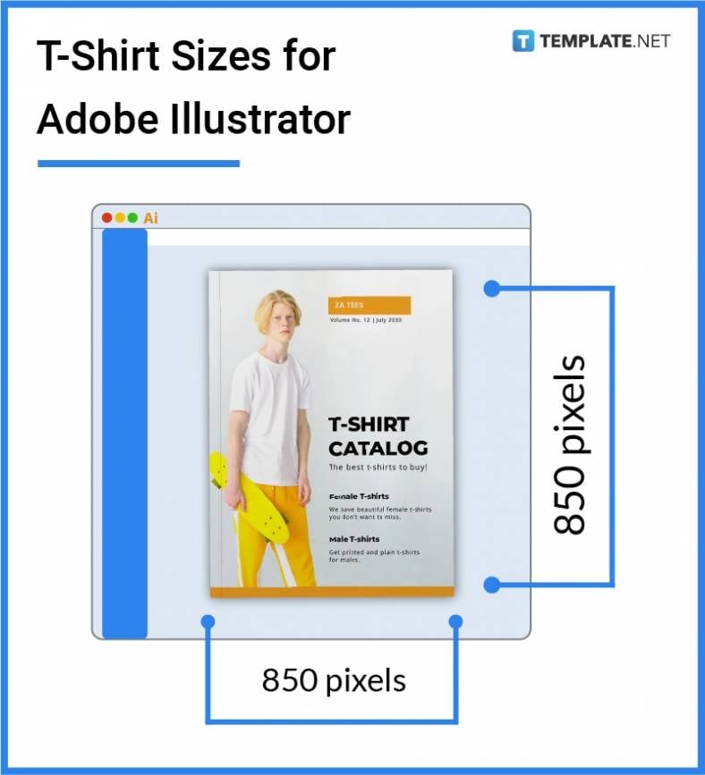 t-shirt-sizes-for-adobe-illustrator-788x867