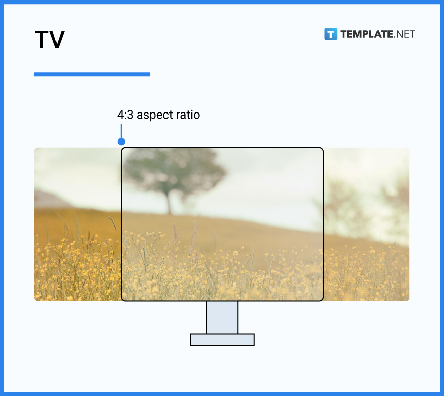 storyboard-size-dimension-inches-mm-cms-pixel