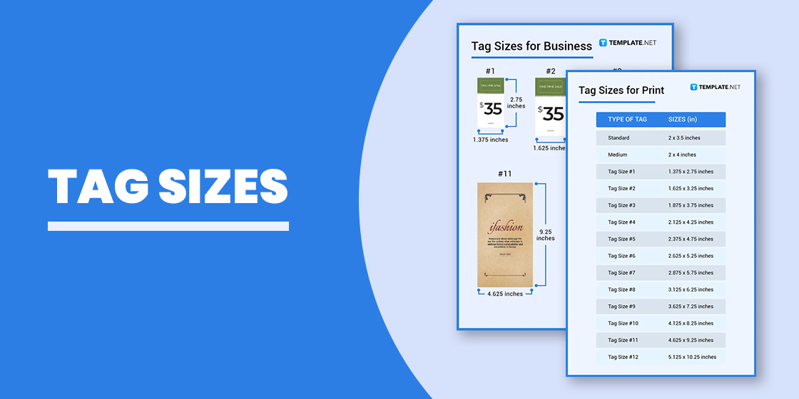 Big, Medium and Small Size Display Labels (Teacher-Made)