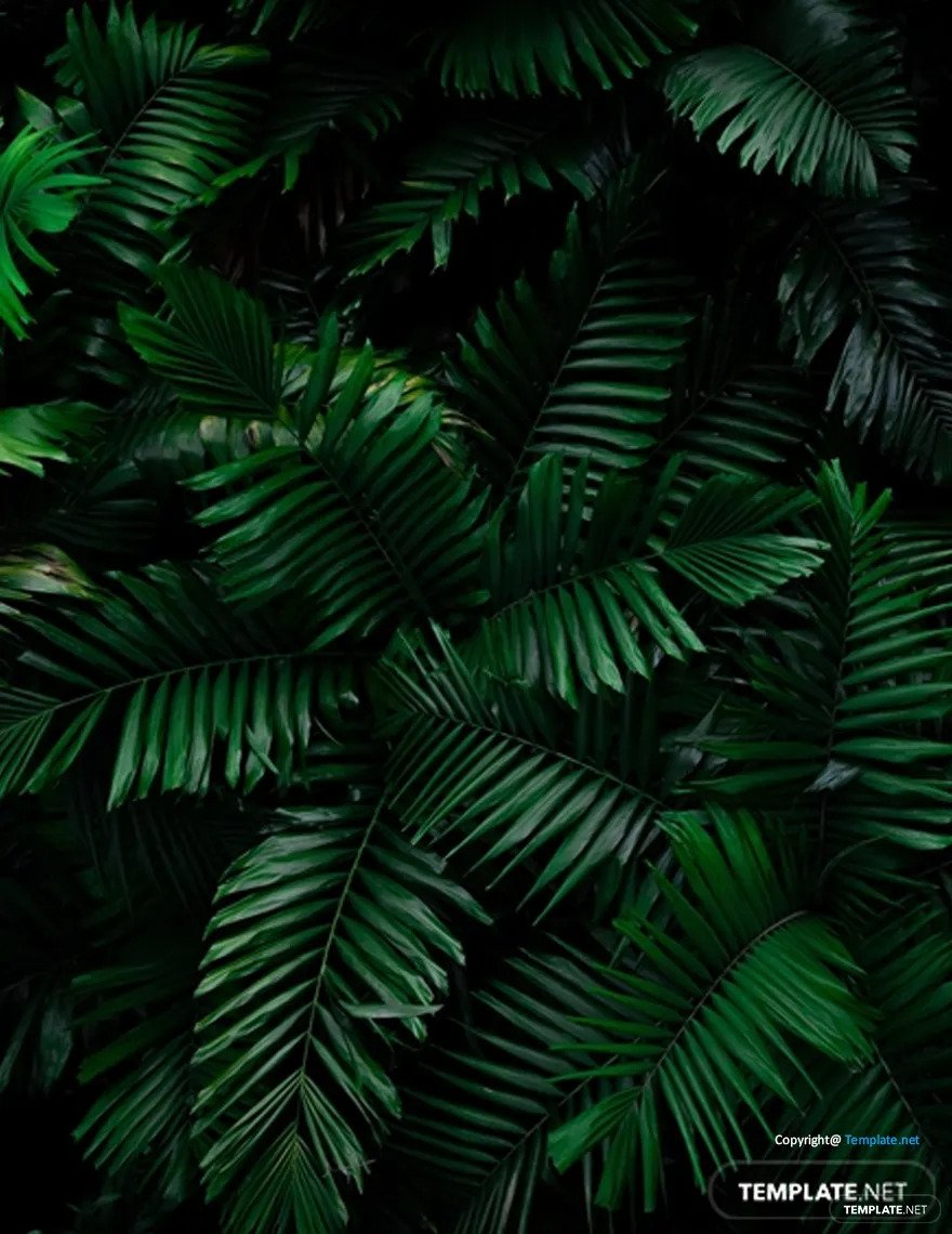 tropical-zoom-background