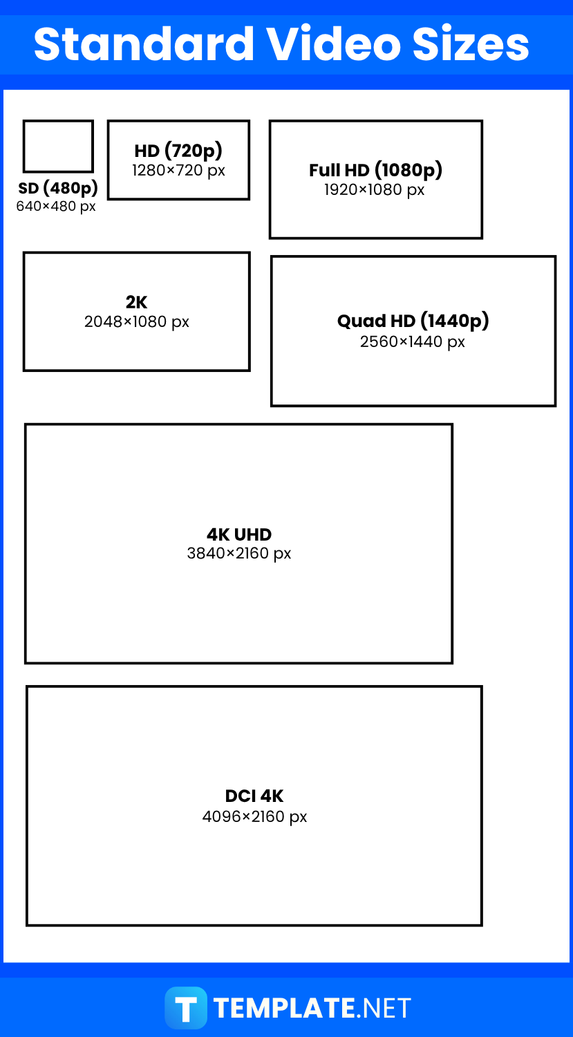 Video Sizes 