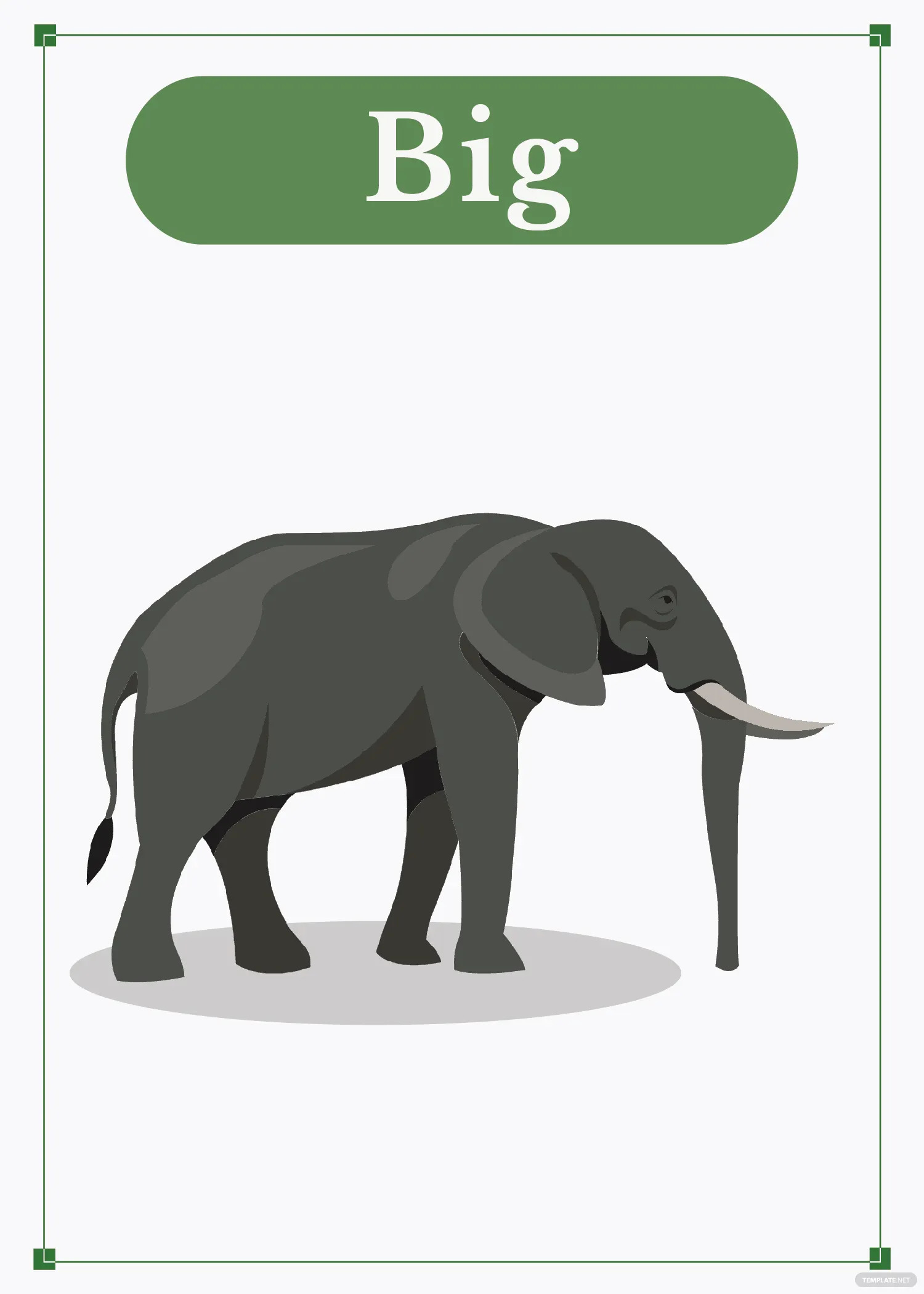 Flashcard What Is a Flashcard? Definition, Types, Uses