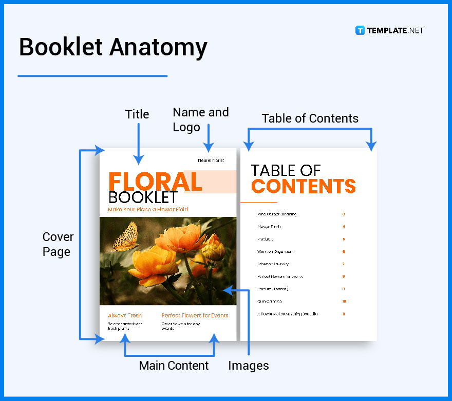 Booklet - What Is a Booklet? Definition, Types, Uses