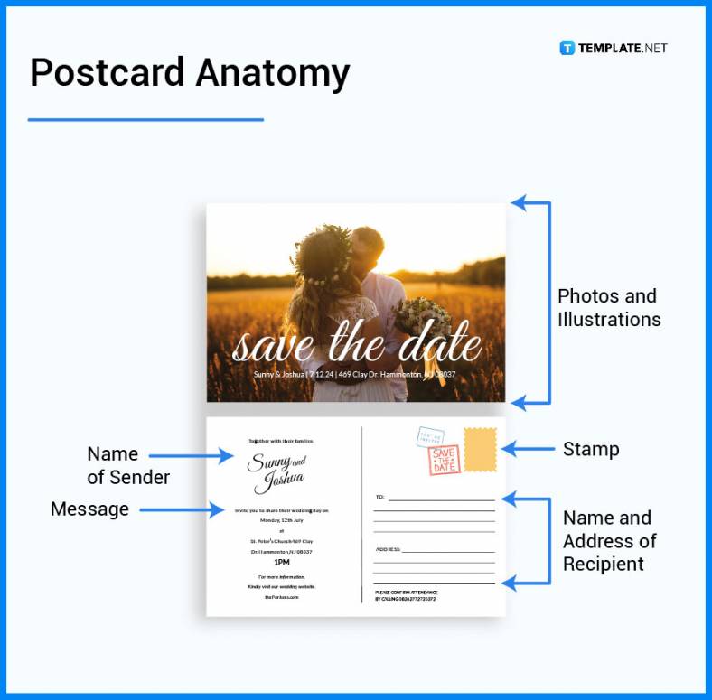 Postcard - What Is a Postcard? Definition, Types, Uses