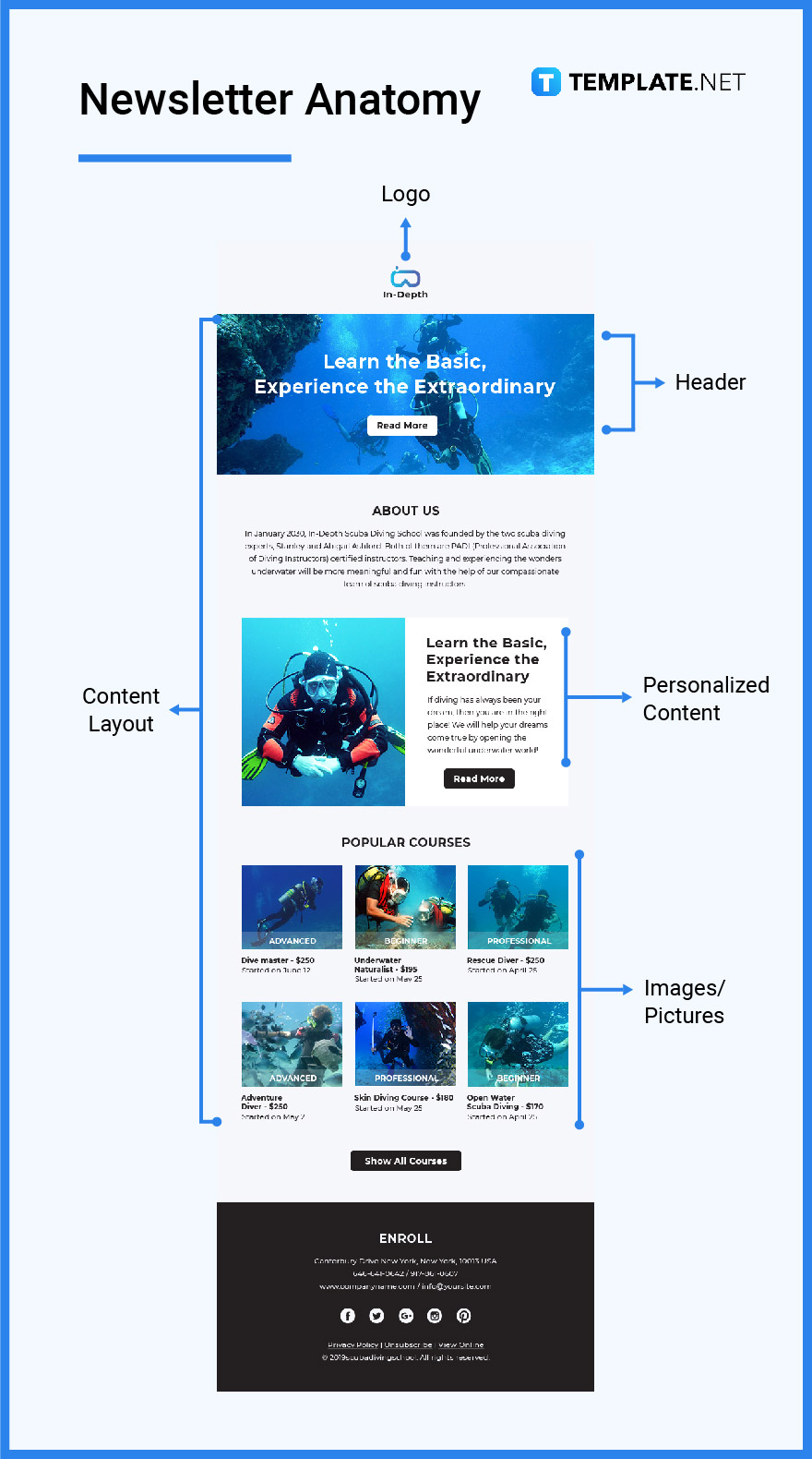 Newsletter - What Is a Newsletter? Definition, Types, Uses