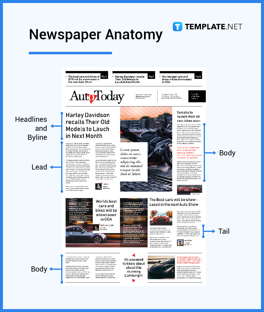 Newspaper What is a Newspaper? Definition, Types, Uses