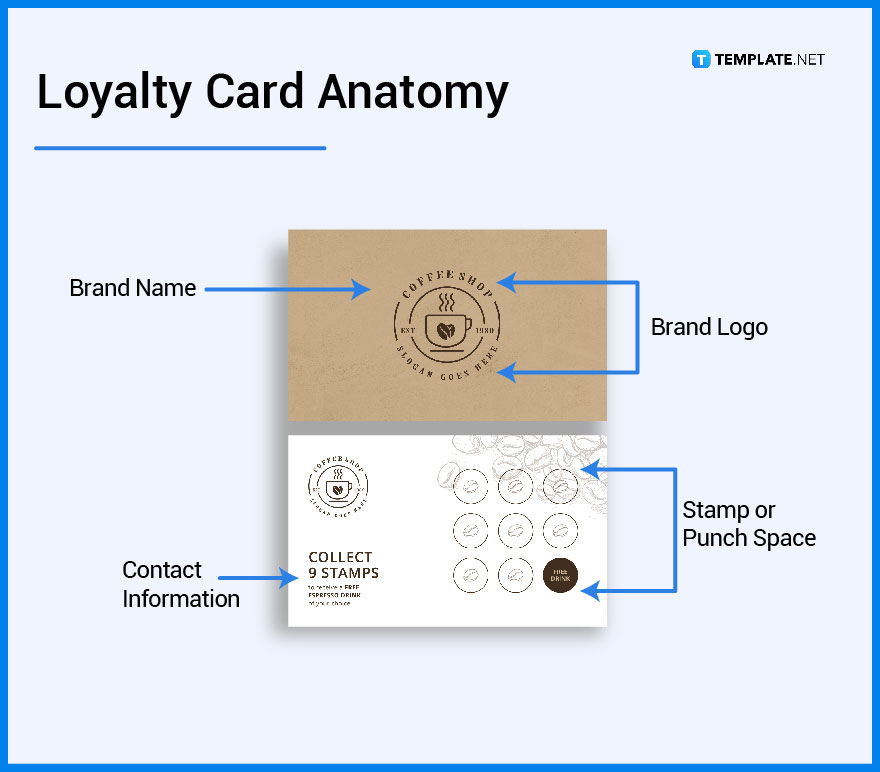 Loyalty Card What Is A Loyalty Card Definition Types Uses