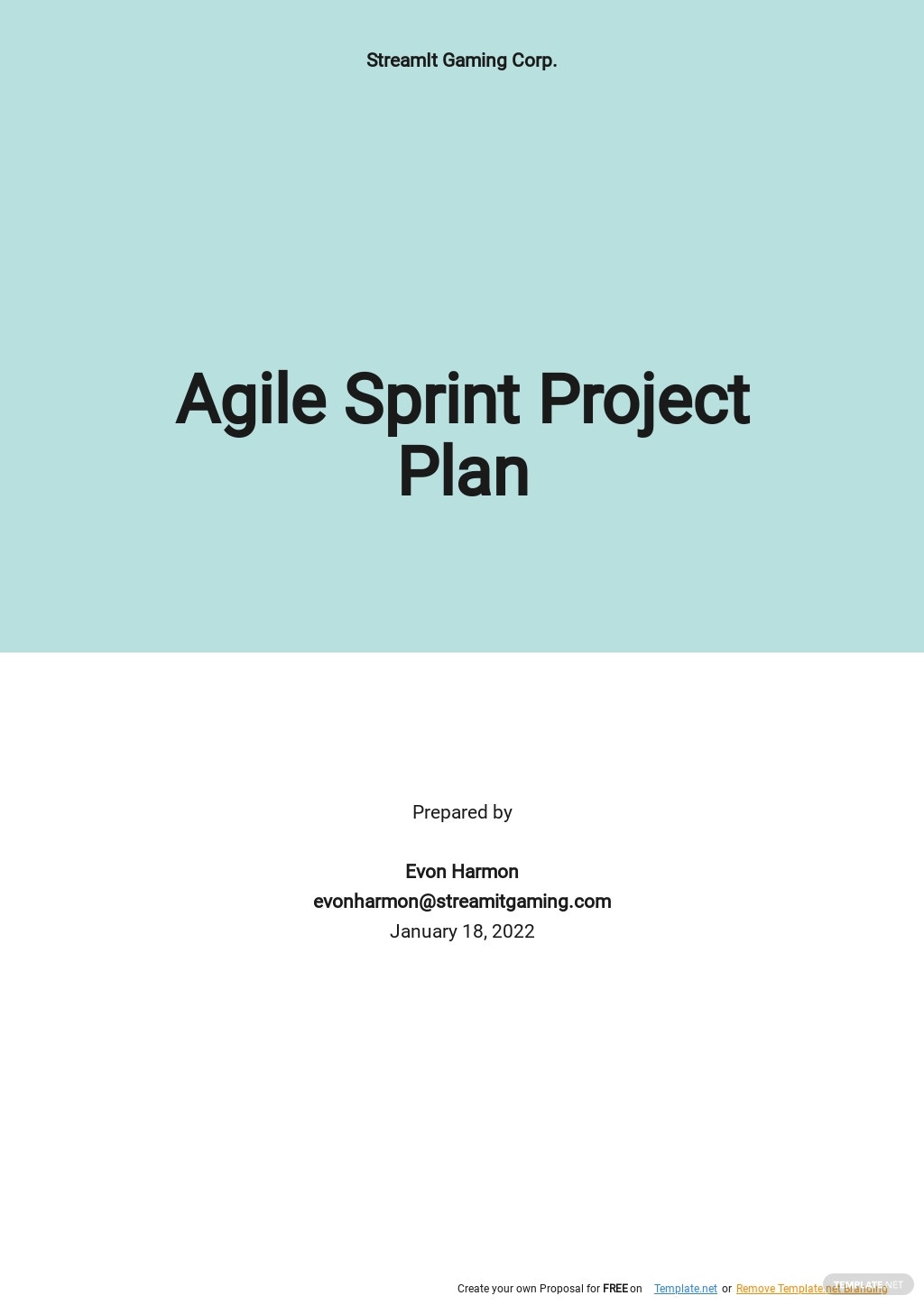 agile-sprint-project-plan-template