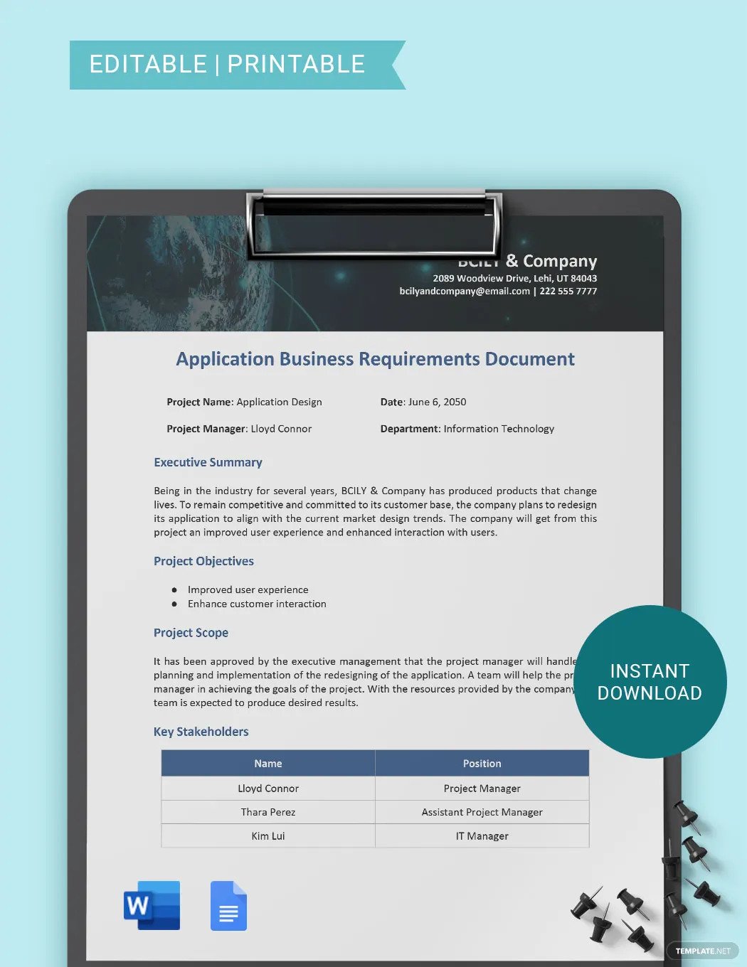 application-business-requirements-document